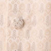 Cream Radiance Sherwani